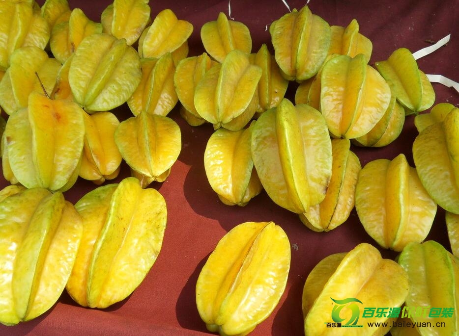 楊桃怎么這么貴?