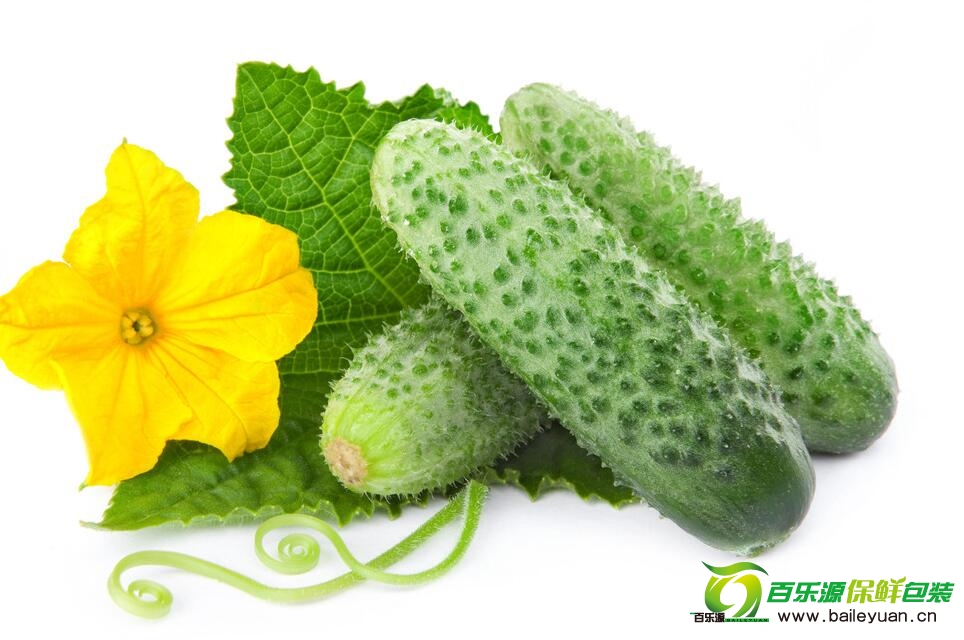 如何辨別有毒黃瓜？