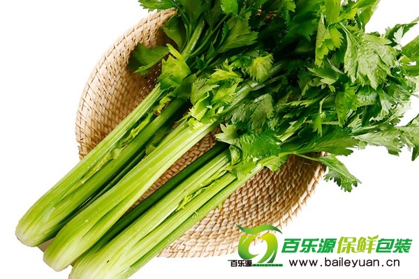 芹菜選購(gòu)方法