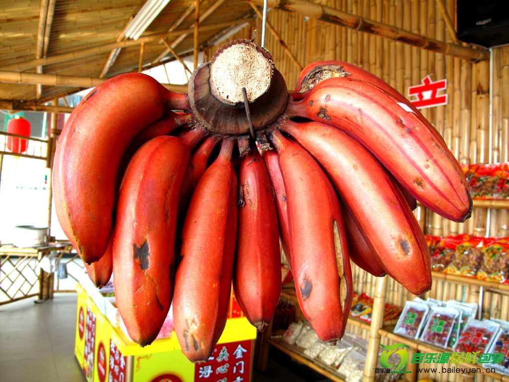 紅香蕉是什么
