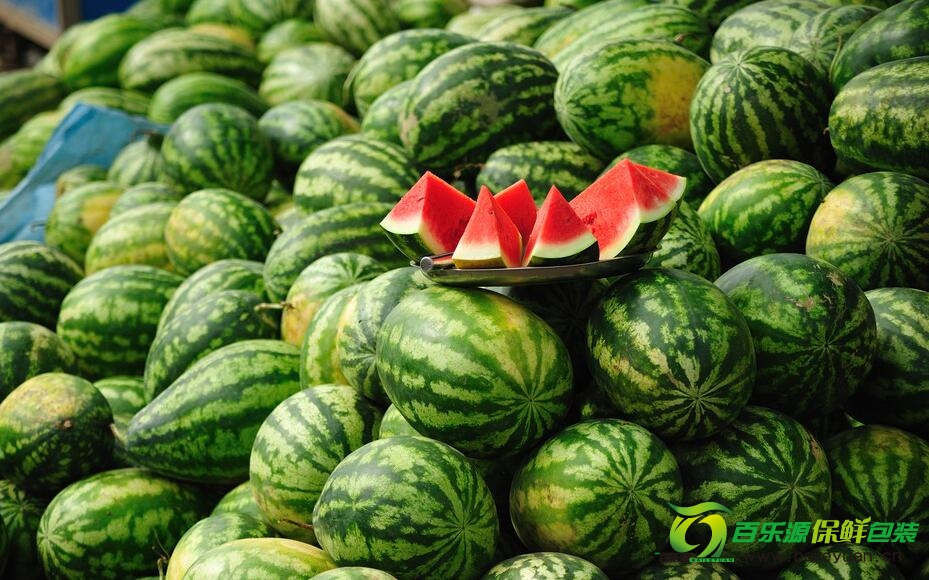 吃西瓜不會(huì)上火