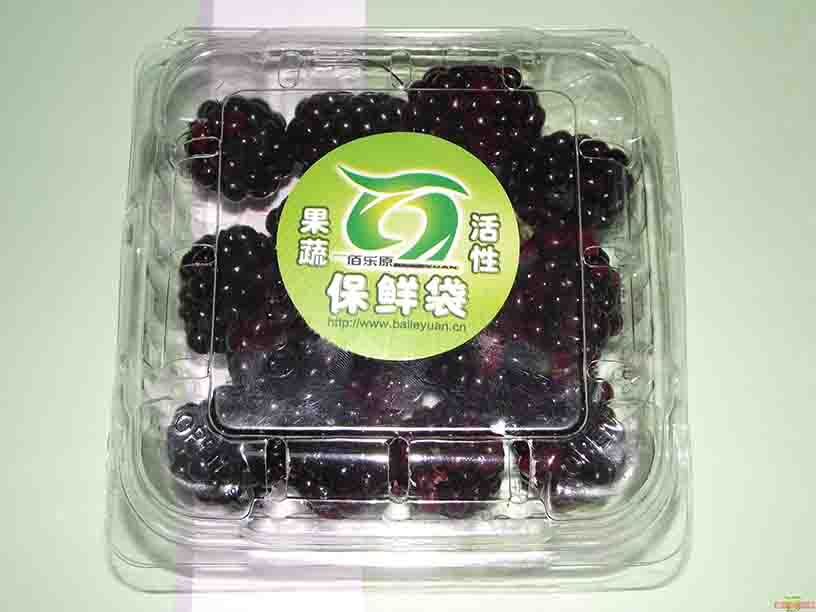 桑葚專用物理活性保鮮袋