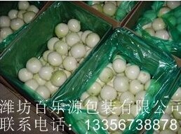 百樂源洋蔥的采收和儲藏技術指導