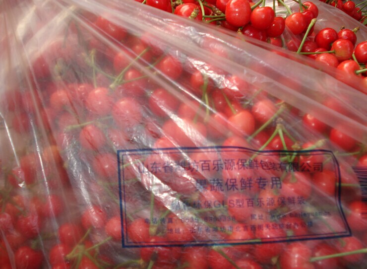 櫻桃的采收和保鮮儲藏技術(shù)指導(dǎo)