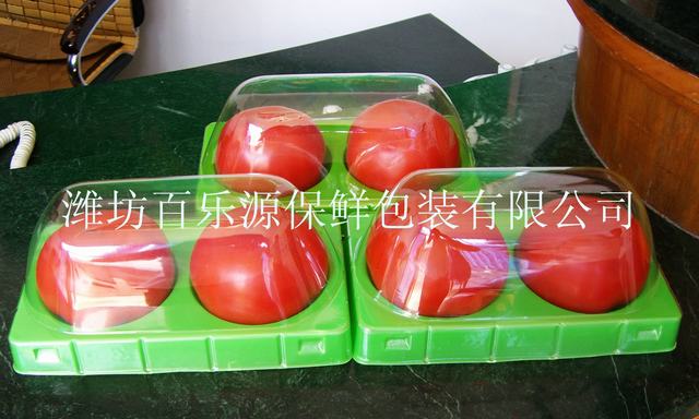 2014年百樂源番茄保鮮技術專用保鮮盒