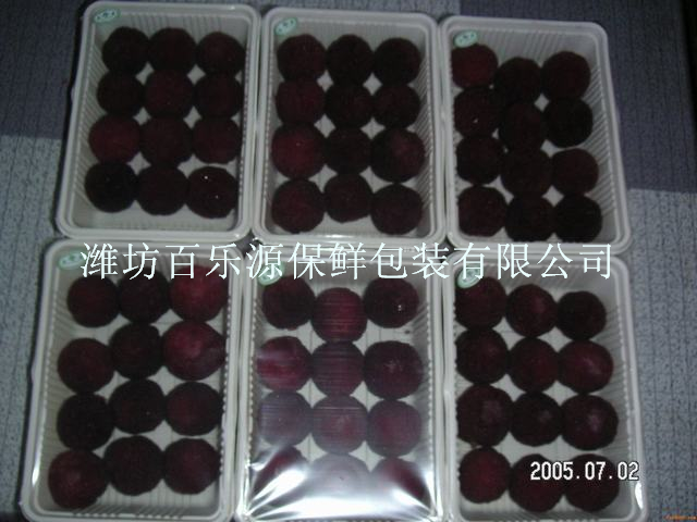 百樂(lè)源楊梅專用保鮮盒